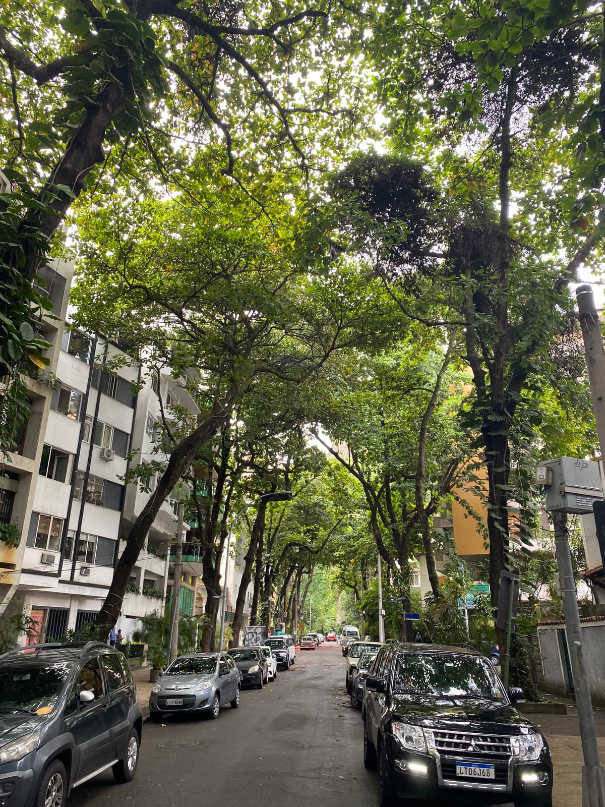 Brazilië — eigen foto 10