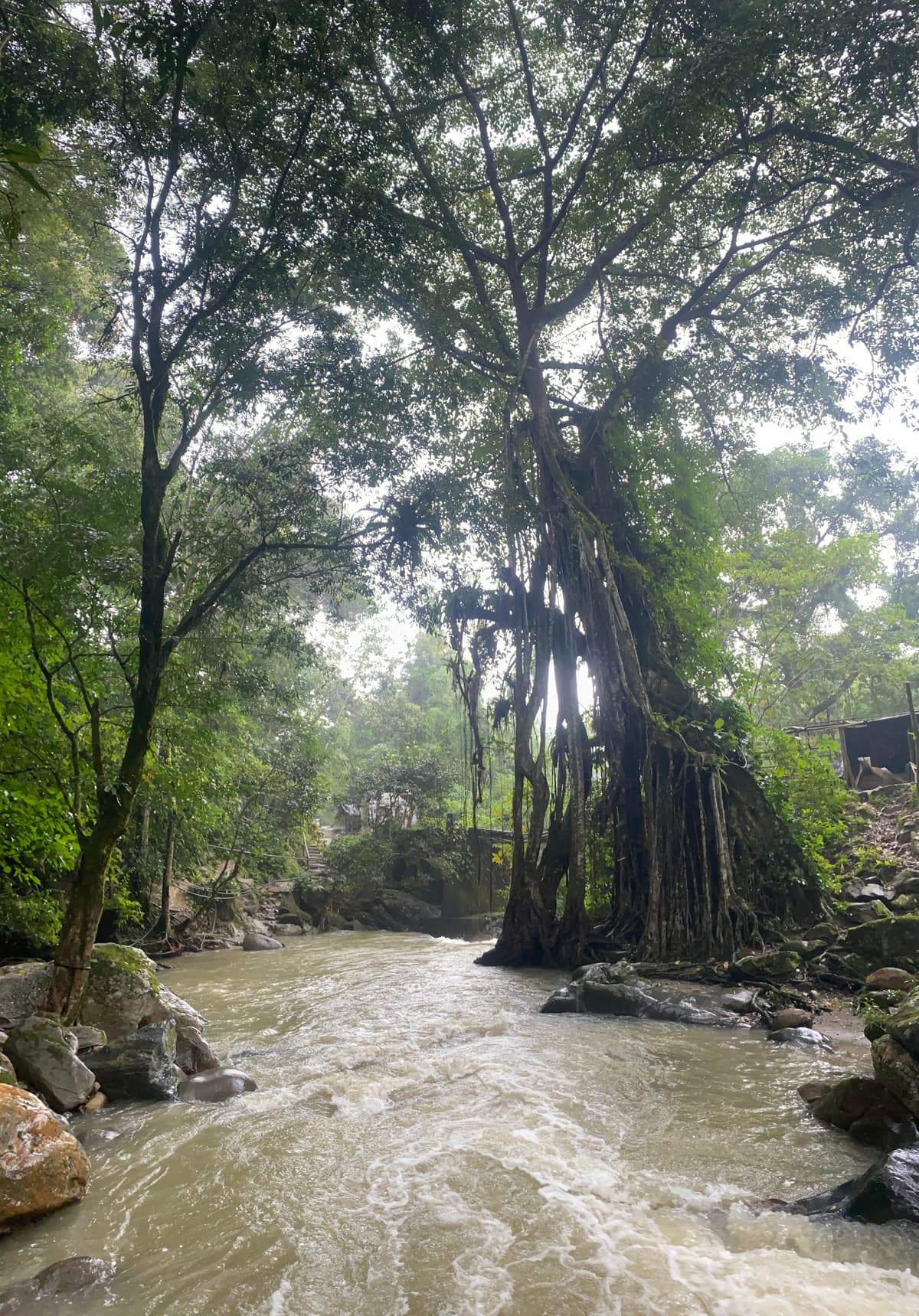 Colombia — eigen foto 8
