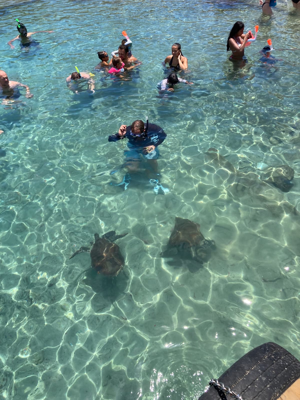 Curaçao — eigen foto 8