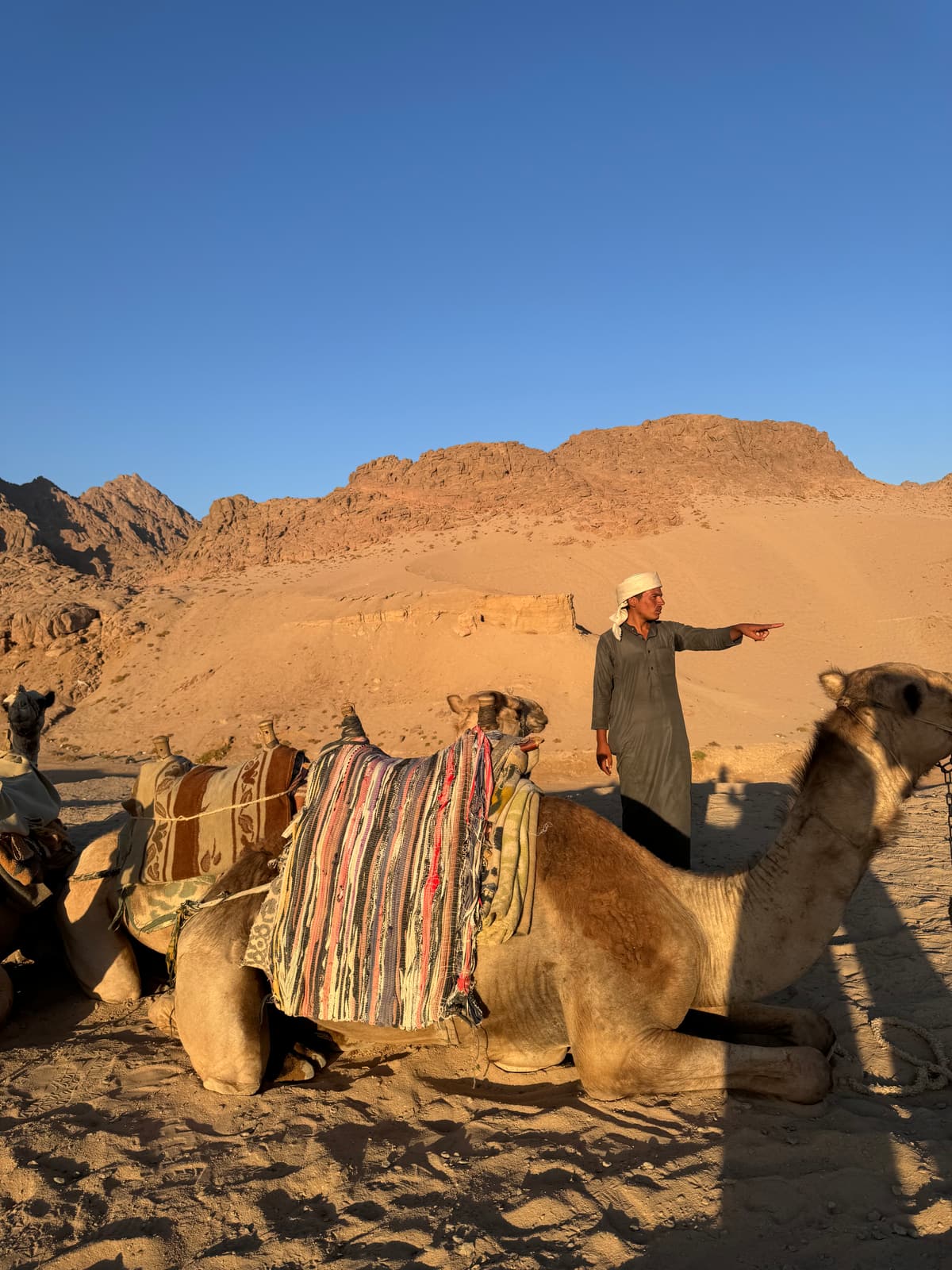 Egypte — eigen foto 5