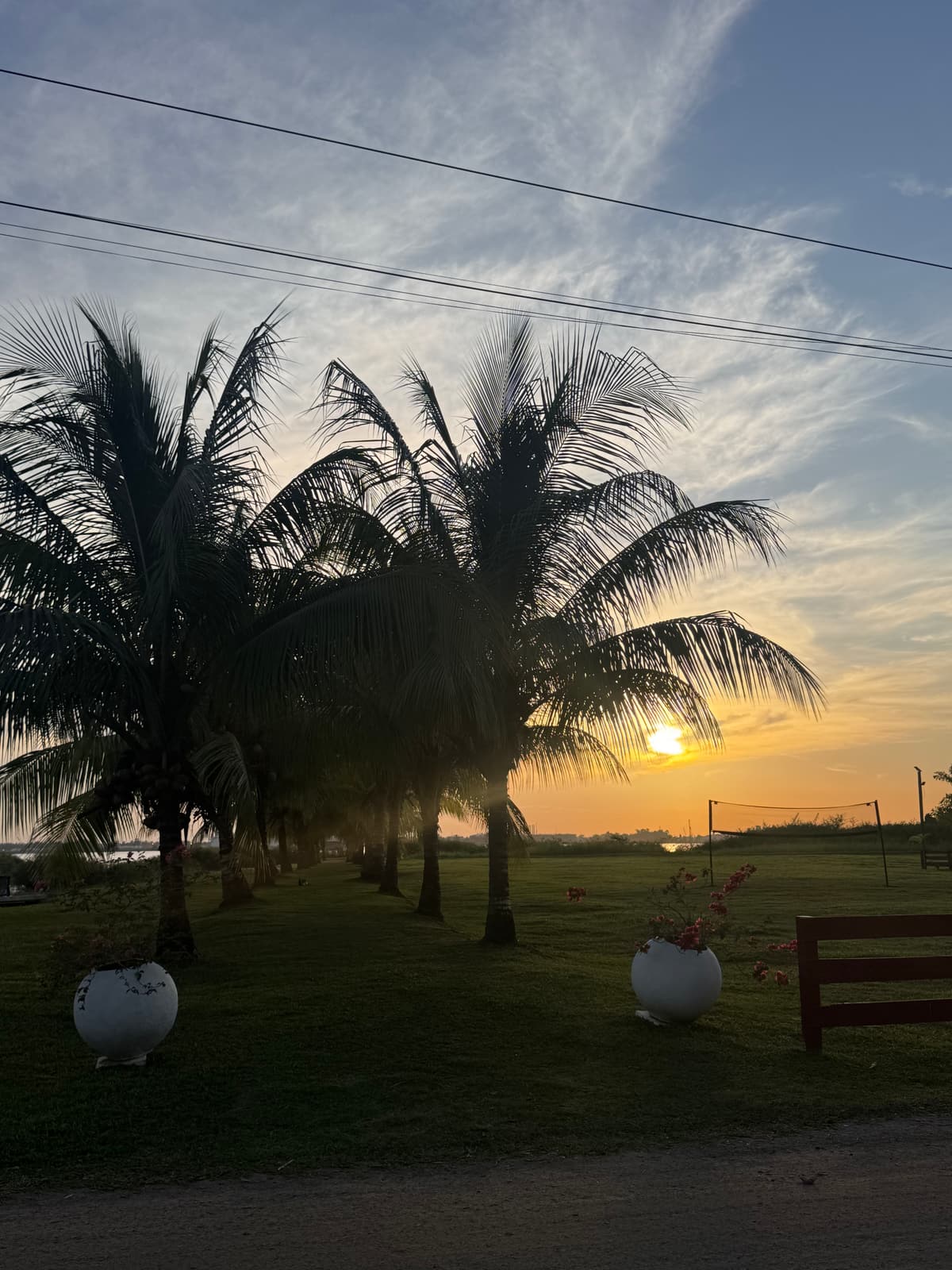 Suriname — eigen foto 10