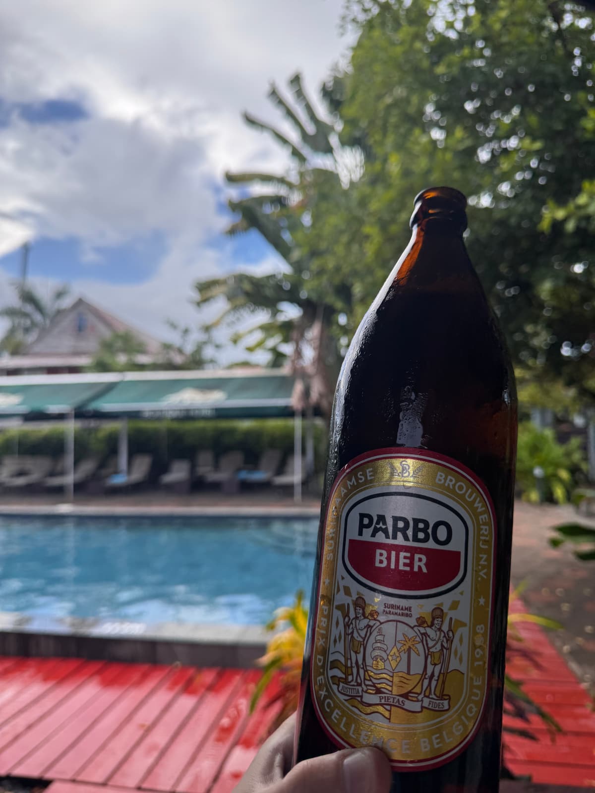 Suriname — eigen foto 11