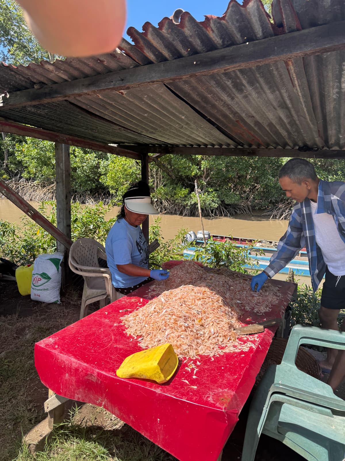 Suriname — eigen foto 3