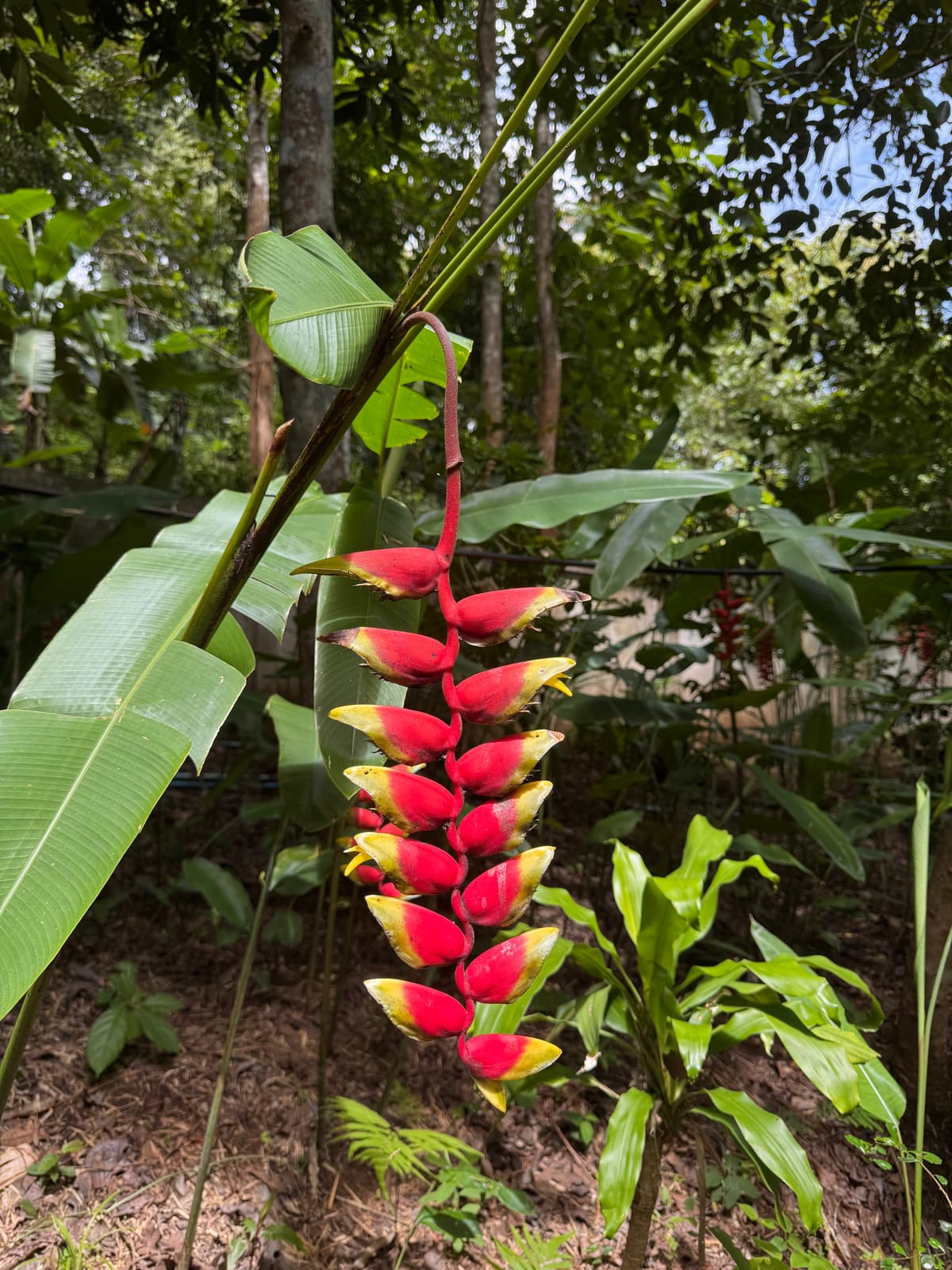 Thailand — eigen foto 5