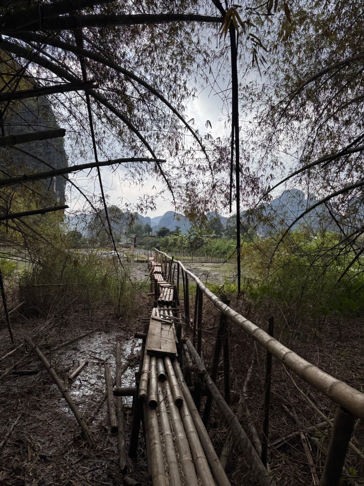 Vietnam — eigen foto 1